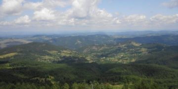 zlatibor