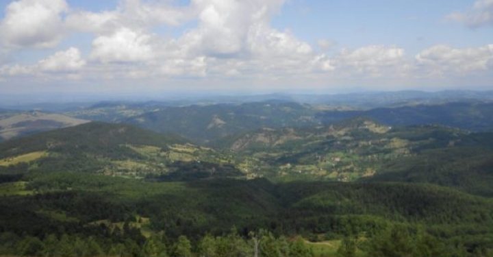 zlatibor