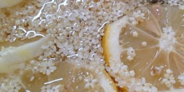 sirup-i-sok-od-zove