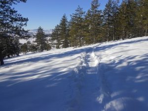 златибор планина