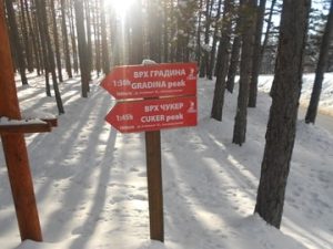 zlatibor
