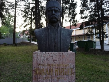 Jovan Mićić