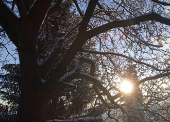знањодром
