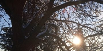знањодром