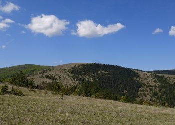 zlatibor