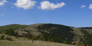 zlatibor