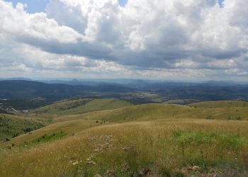 zlatibor