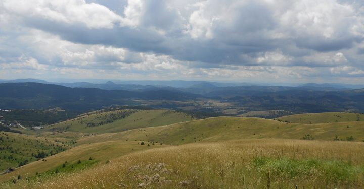 zlatibor