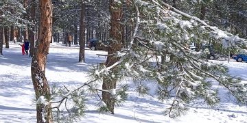 zlatibor-znanjodrom