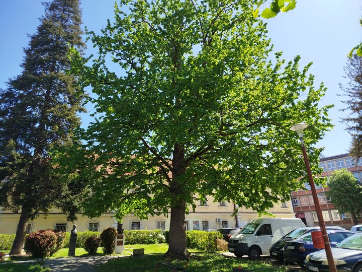 uzice-spomenici-prirode