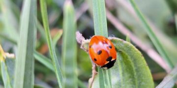 znanjodrom-kviz-znanja