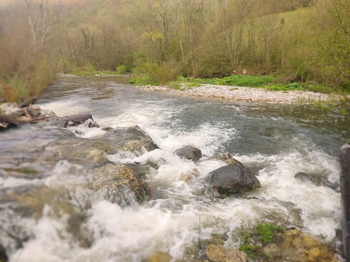 susica-reka-na zlatiboru